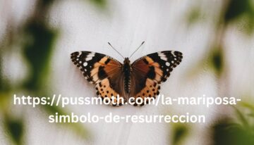 httpspussmoth.comla-mariposa-simbolo-de-resurreccion